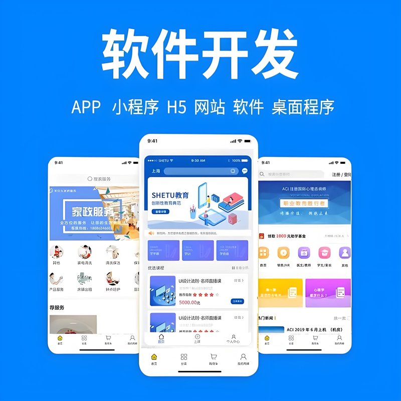 北京软件开发选购指南